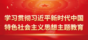 学习贯彻习近平新时代中国特色社会主义思想主题教育