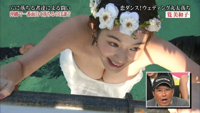 グラドル・女優のシコシコ捗るオナニー専用画像