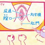 【画像・GIF】NHK Eテレ・ハートネットTVが物凄くストレートで真面目な性教育番組を放送?