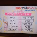 【話題】2019年にティーン女子の間で流行ったコトバ🤩🤩🤩🤩🤩