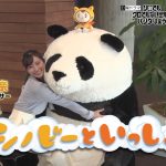 【動画・画像】読売テレビ女性アナウンサー・佐藤佳奈さんのエチエチおっぱいダンシング😍😍😍😍😍😍