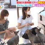 【画像】王林さん、動物園にめっちゃエッチな服装で降臨😍😍😍😍😍😍😍😍