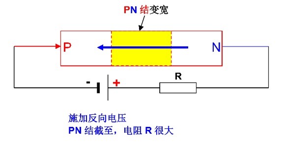 圖片13.jpg