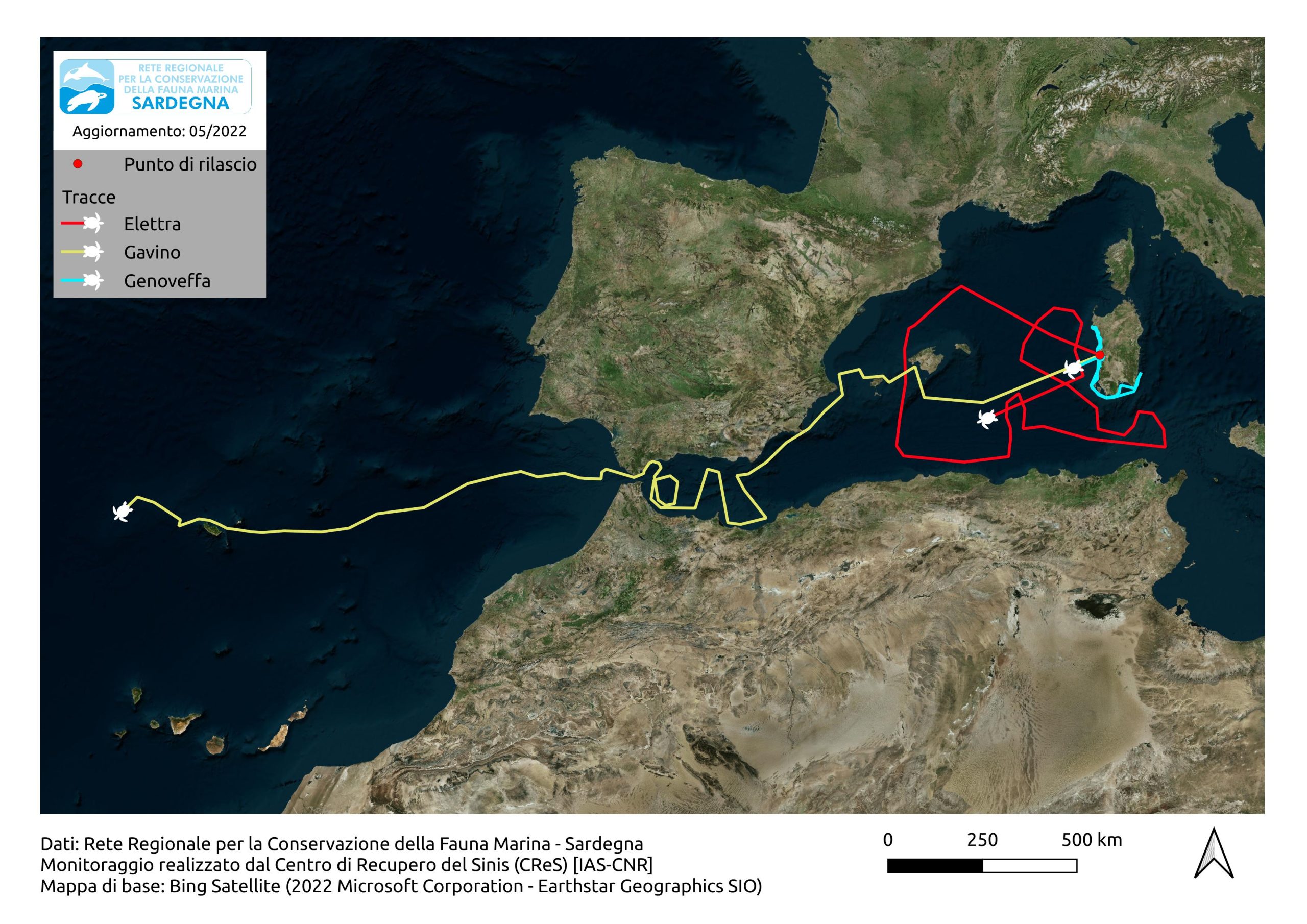 A map showing the turtles' progress in May 2022