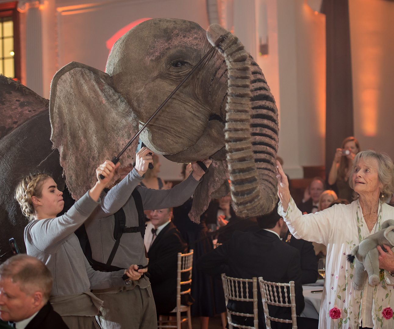 Virginia McKenna reaching out to touch a puppet elephant