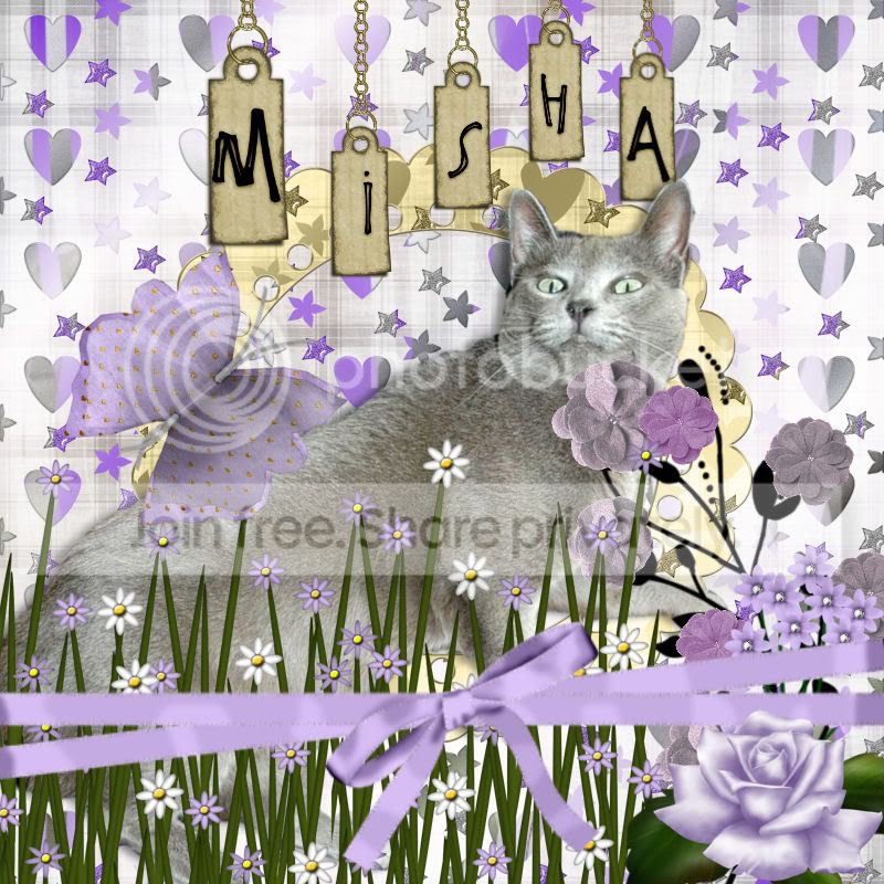 Russian Blue