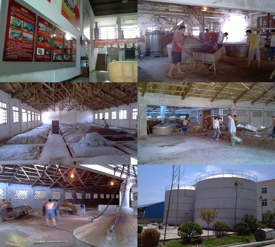 安徽酒怪酒业有限公司