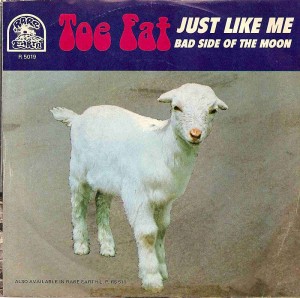 Toe Fat US Picture Sleeve Toe Fat US Picture Sleeve