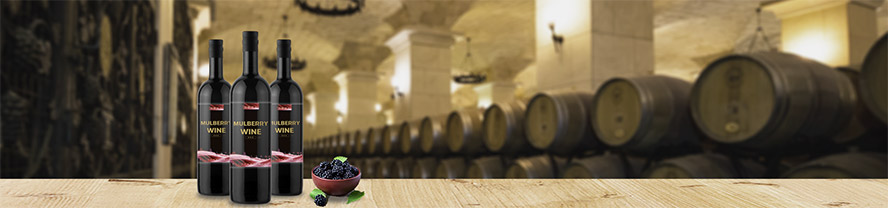 一阳生(厦门)酿酒有限公司